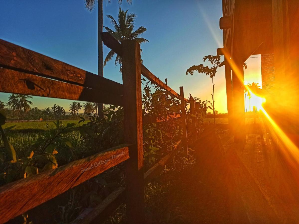 Sunset Homestay By Harry & Mimin Telaga Εξωτερικό φωτογραφία
