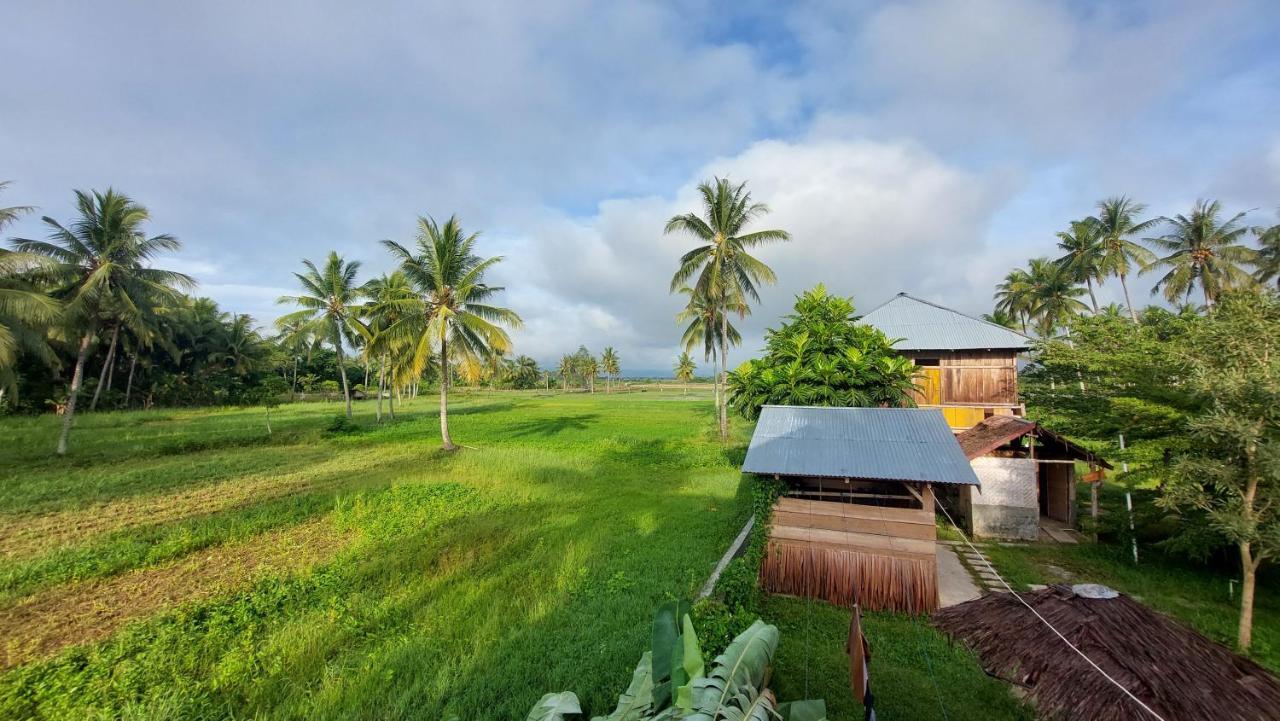 Sunset Homestay By Harry & Mimin Telaga Εξωτερικό φωτογραφία